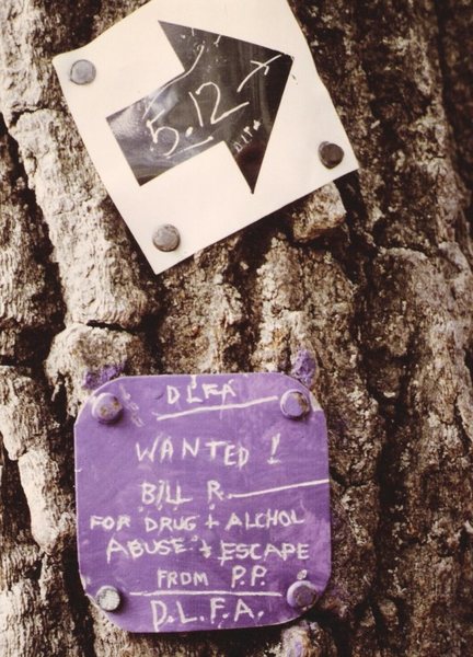 infamous CCC purple trail markers