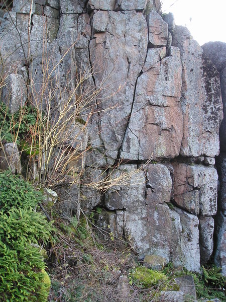 Base of Out of Tolerance Climb where 2 vertical cracks V. 5 bolts anchors at top. Base is mossy can be slippery.