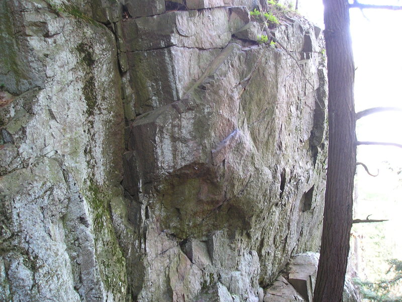 Inside gully