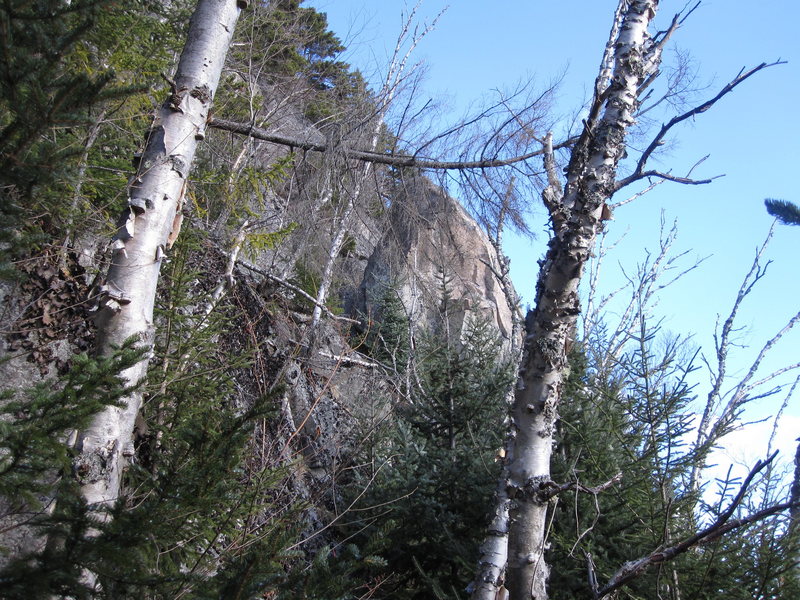 The top of the pillar. Climb is on this side.