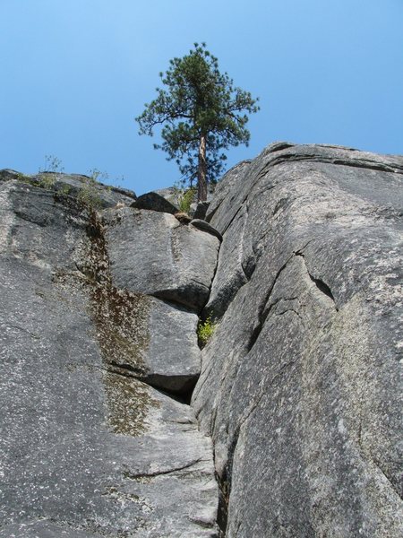 Careno Corners 5.9