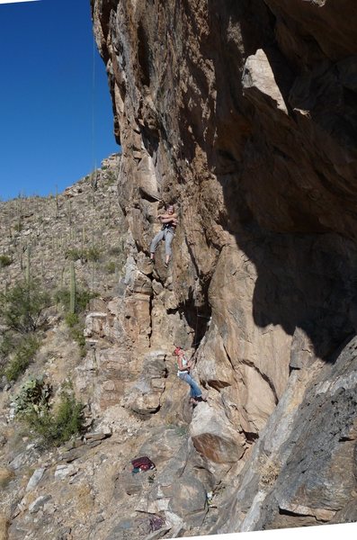 Sleek little tiger laughs and holds fat old bear after being pulled 8 feet up to first draw. <br>
<br>
That's what happens when leader out-weighs belayer 2-to-1.