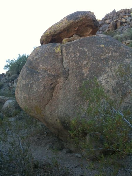14 ft tall