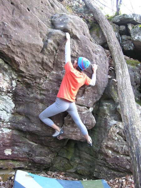 Sheila Rahim on "The Flaming Carrot" V0.
