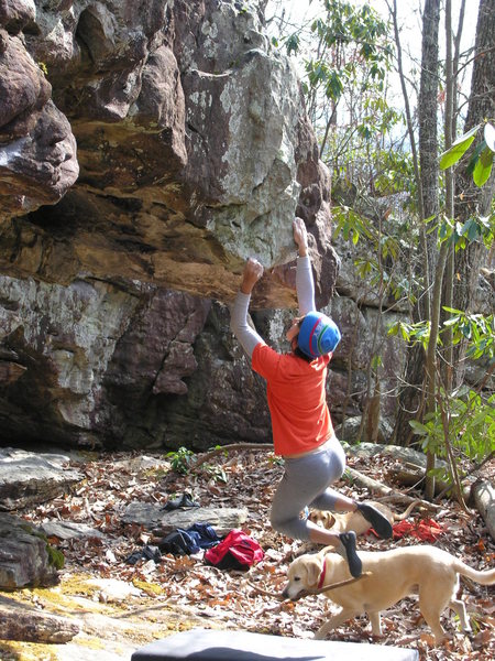 Sheila Rahim working the starting moves of "Why Not?" (V2) on the Hero Wall.