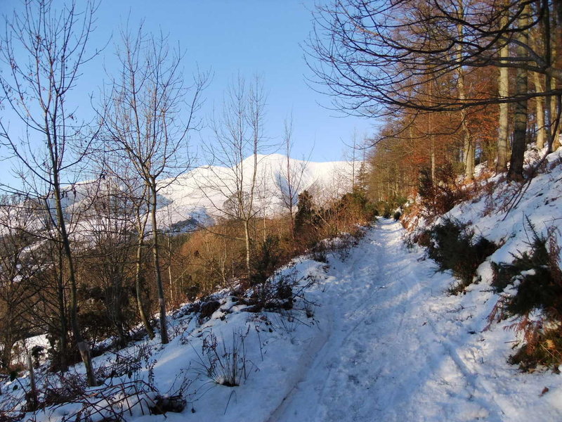 Snow December 5th 2010...Wow.. Skiddaw from Latrigg path.Photo.Pete Armstrong