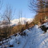 Snow December 5th 2010...Wow.. Skiddaw from Latrigg path.Photo.Pete Armstrong