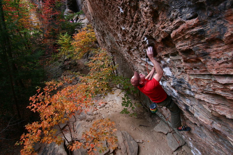 Shaun trying Wild Gift, fall 2010.