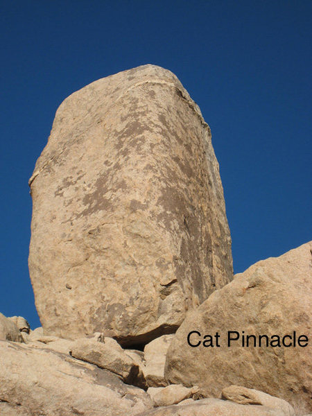 Cat Pinnacle from SW