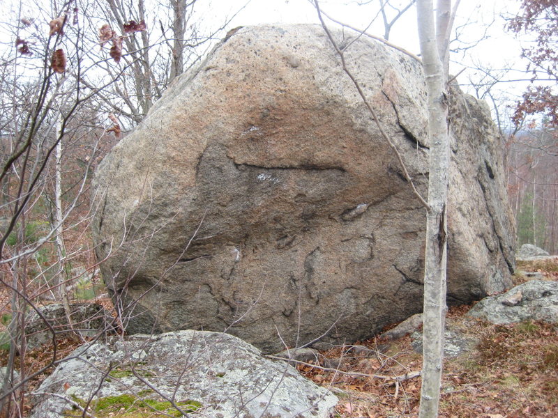 The Trailside Boulder has two short, but powerful problems on its steeper side. Bully climbs the left arete and Mutant climbs the right arete.