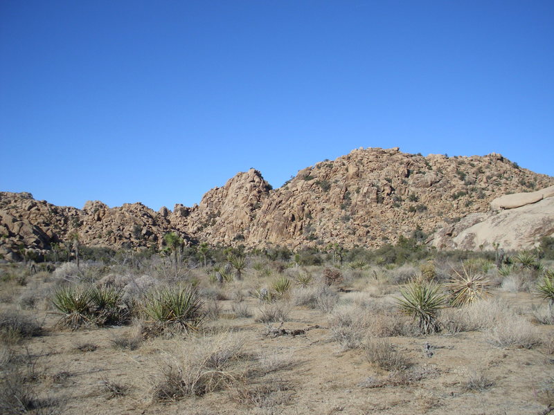 A view of the area from the hike in. The water grooved slab is on the rightside of the picture.