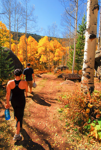 Hiking through the Klettergarden after a quick session. <br>
<br>
Most insane aspen colors ever!!!<br>
<br>
Sept. 19th, 2010.