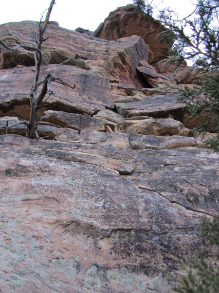 Clearance Rack. Climb to the right of the dead tree.
