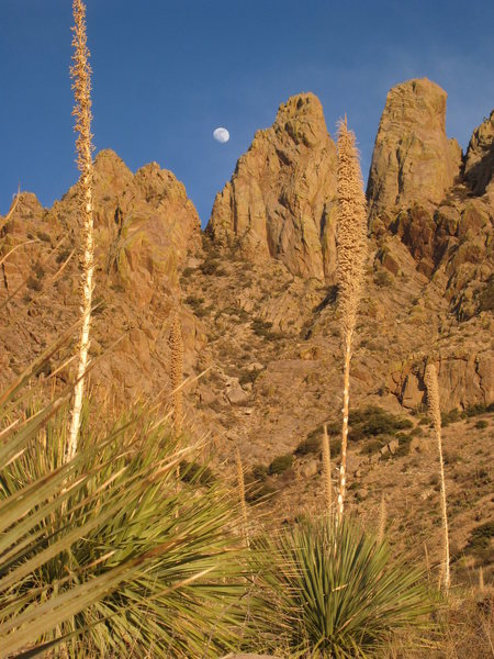 Moonrise over Lesser Spire (center) and ORP (right) as we hike out. Hey...we hiked out in daylight for once!