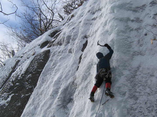 Leading Fifi's Frozen Finger