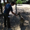 me getting to know some of the locals outside of Nowra, Australia 