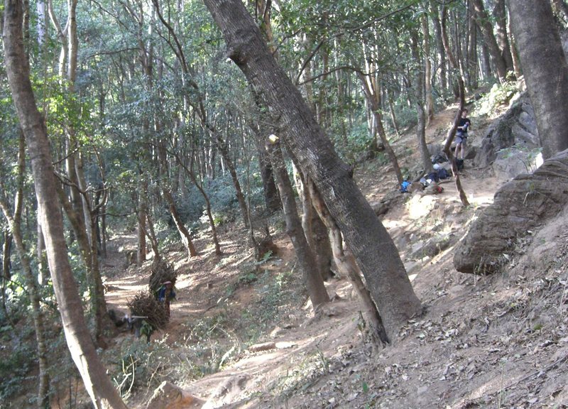 Despite the fact that we were in a protected forest reserve, there were local people cutting and collecting firewood. You can see 2 people with huge bundles on their backs walking out right by the crag.