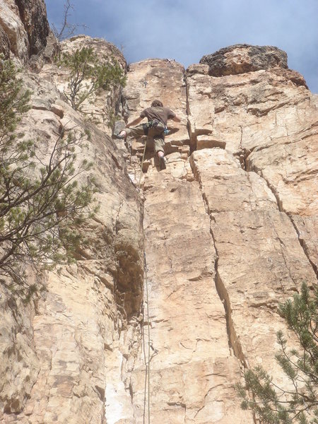 Carl in the upper section.