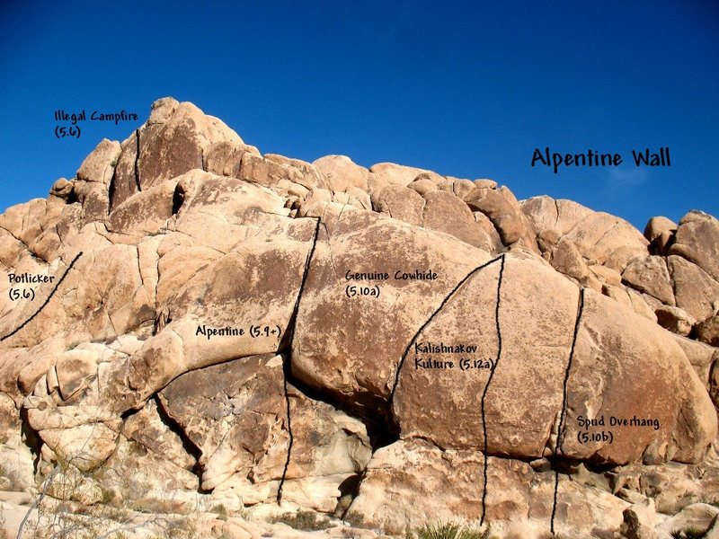 Photo/topo for Alpentine Wall, Joshua Tree NP