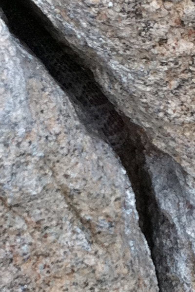 Not the best photo, but watch out for snakes snoozing in the crack.