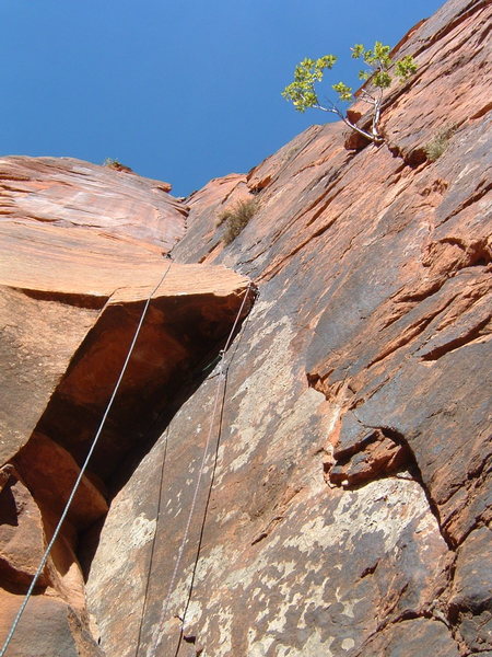 Fourth pitch of Monkeyfinger