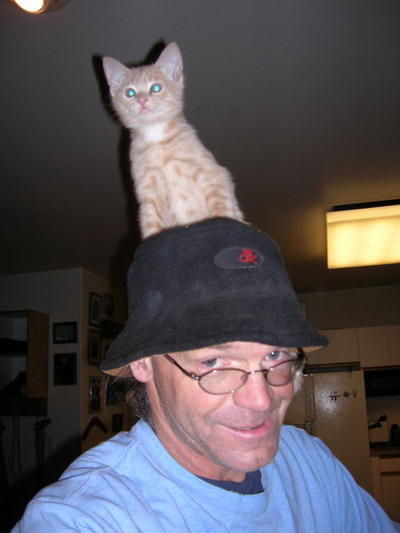 Casper the Friendly Cat. Thought I would show a photo of a climber kitty. Can't find the pictures of his brother climbing on my climbing wall
