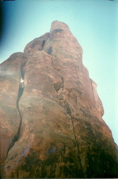 The wide part. 1996.