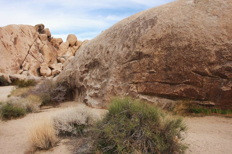Nice boulder with Hodgepodge in the background