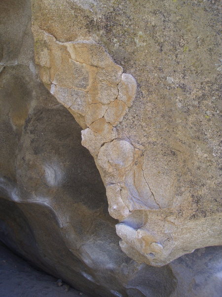 The start up the rib of patina
