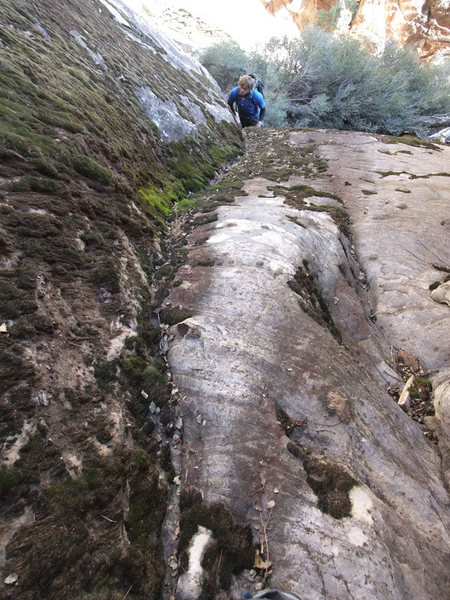 Jon contemplating the mossy slab problem