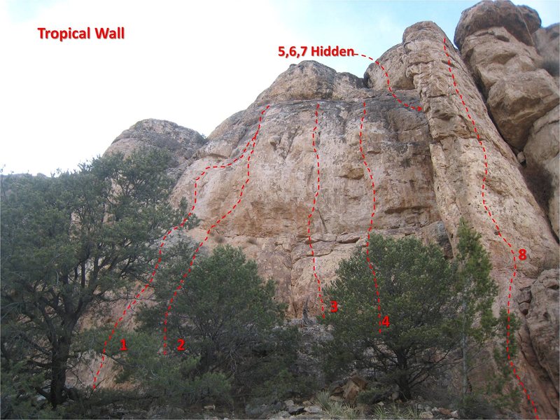 Another view of The Tropical Wall:<br>
<br>
1. Observe God's Mistake.<br>
2. Lead Farmer.<br>
3. Rum-Tum-Tuggernaughts.<br>
4. Here We Go Again.... Again.<br>
5. Earth Mama...<br>
6. Full Retard.<br>
7. Scorcher VI.<br>
8. Who Left the Fridge Open?<br>
