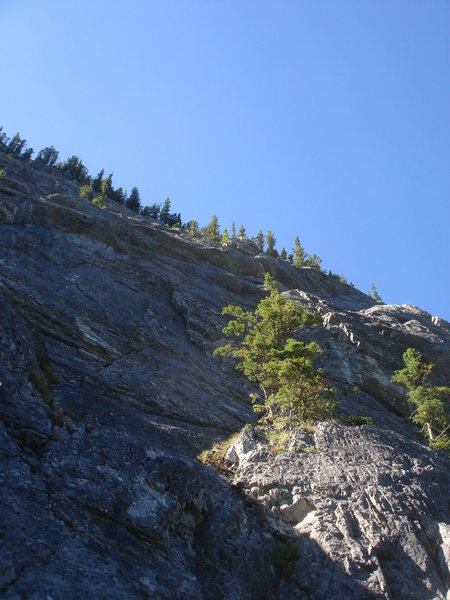 Looking up Morningside (4 pitches, 460' 5.7). Bow Valley, Alberta.