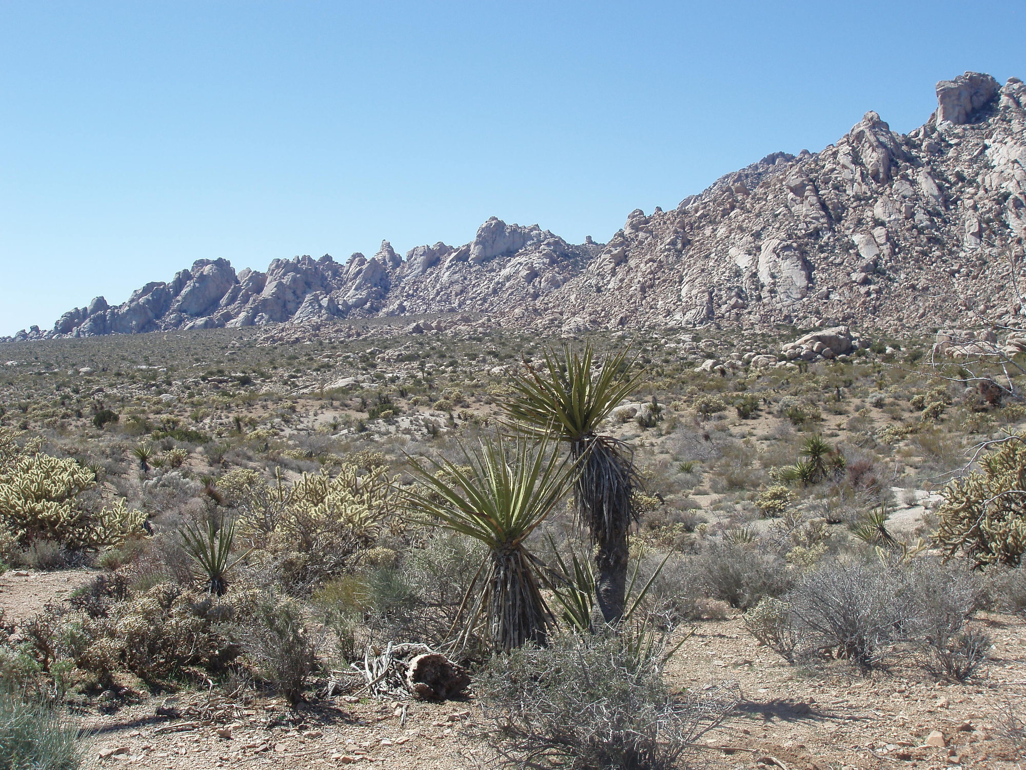 A High Desert Paradise