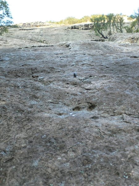First pitch of Battle Runner looking up.