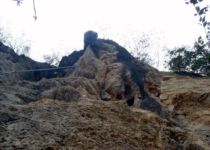 Up on the Prowl. White Mountain Yangshuo China