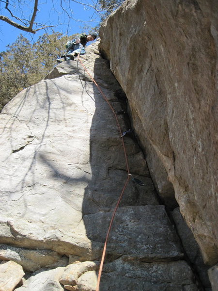 Remo, pink point.