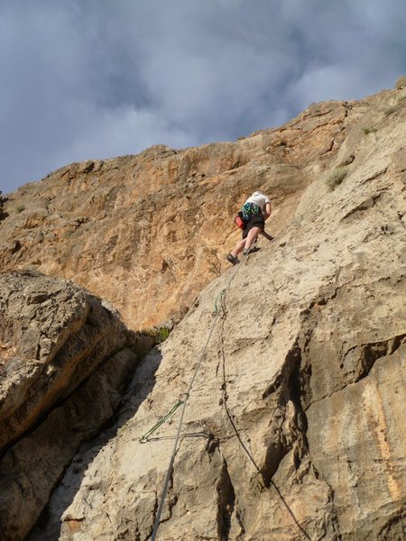 Tyson on his way up Redolence