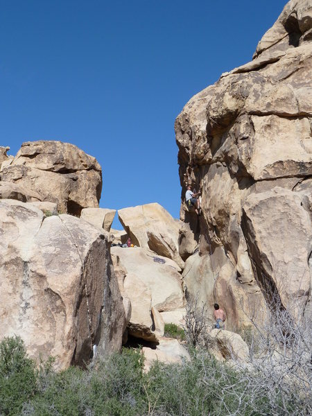 Climbers on Eileen Dover (5.10b), Joshua Tree NP