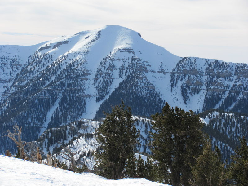 ski touring at mount charleston