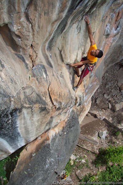 Reaching on Bamboo Finders