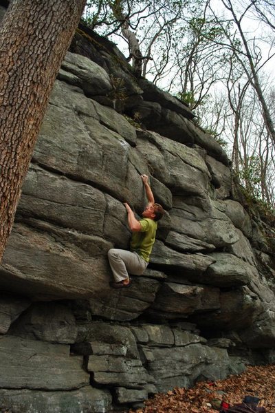crimps!