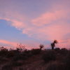 Desert sunset, Red Rock, NV