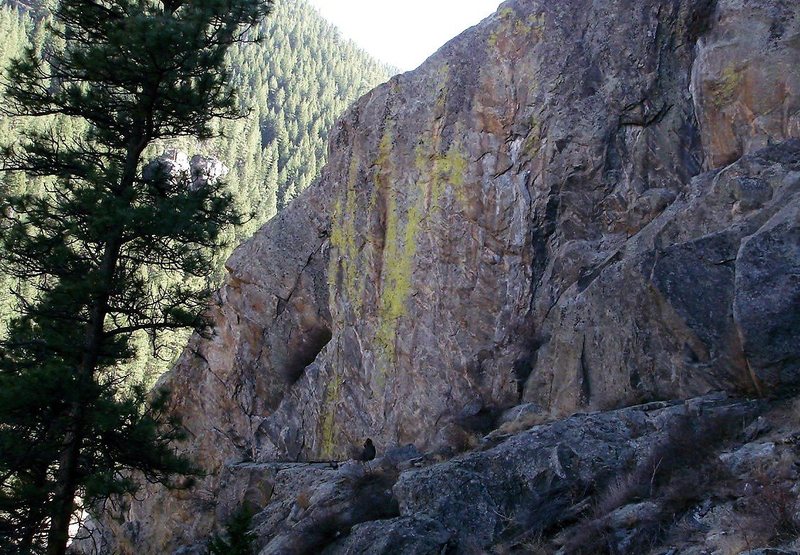 Inner Gorilla takes the left most arete on the wall. In this photo one can see Mr. Capps studying the line just days before his gallant first ascent. What a line.