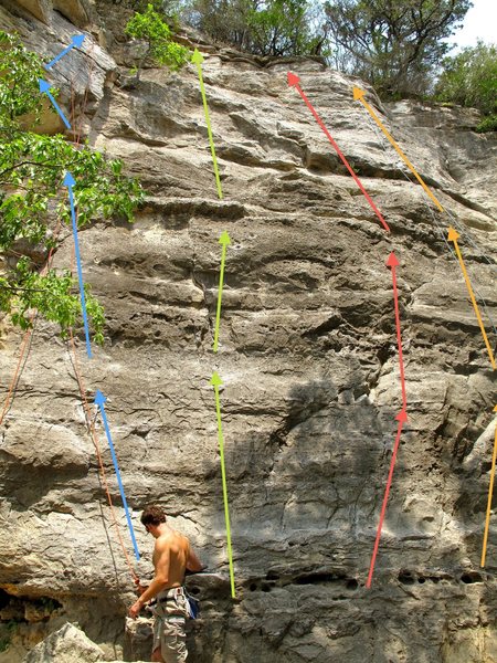 Blue: Over Easy<br>
Green: It's a Wiggle Butt<br>
Red: (I have no idea what this route is)<br>
Orange: Roo Dog