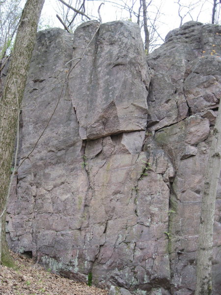 Left Side.