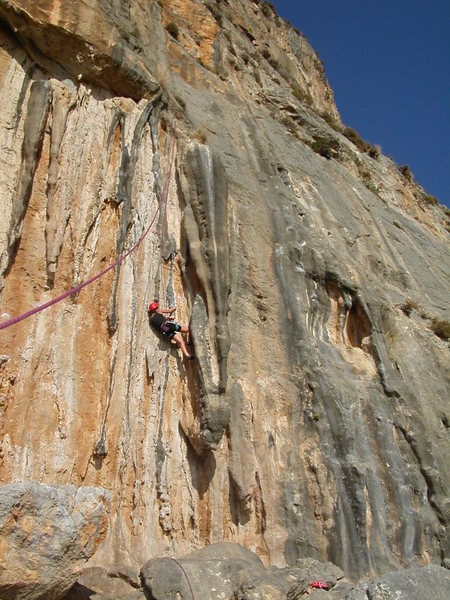 Tanja working Thetis