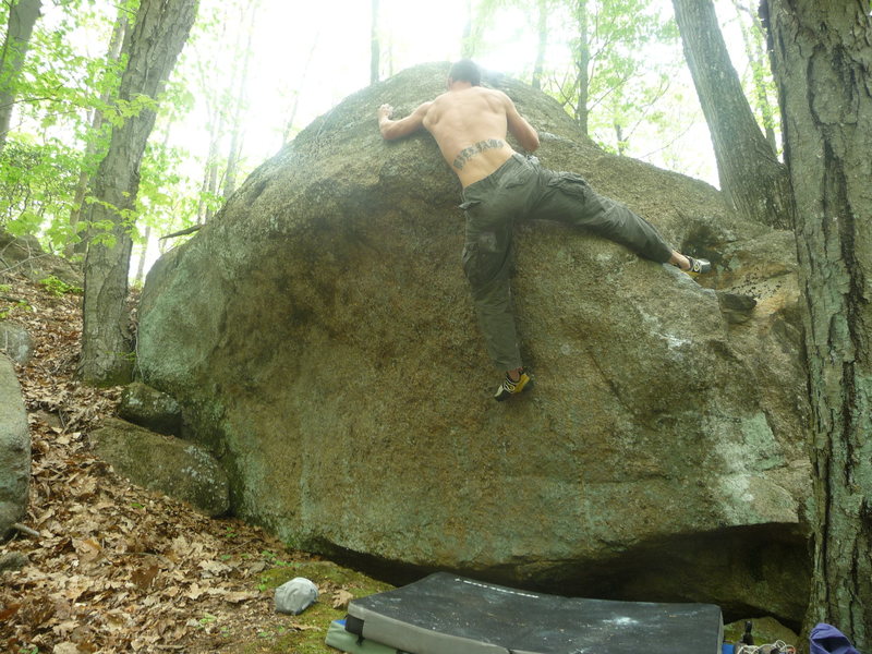 top out from here. wear a shirt.