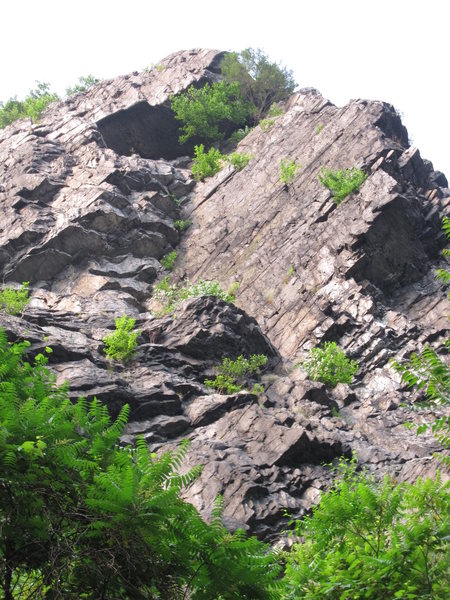 Black Wall; Mt. Tammany, Delaware Water Gap