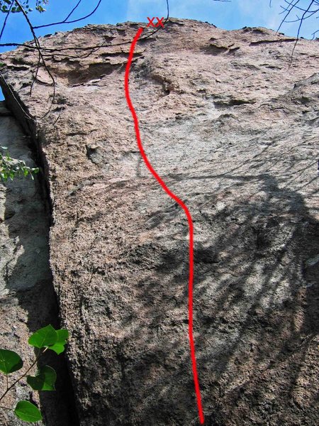 A marginal shot of route with the upper section foreshortened.