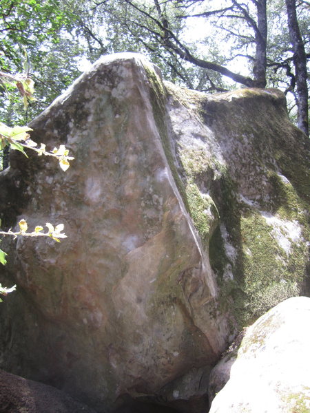 Nature Nazi Arete